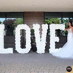 Top Ten Wedding Photographers by AMD Studios