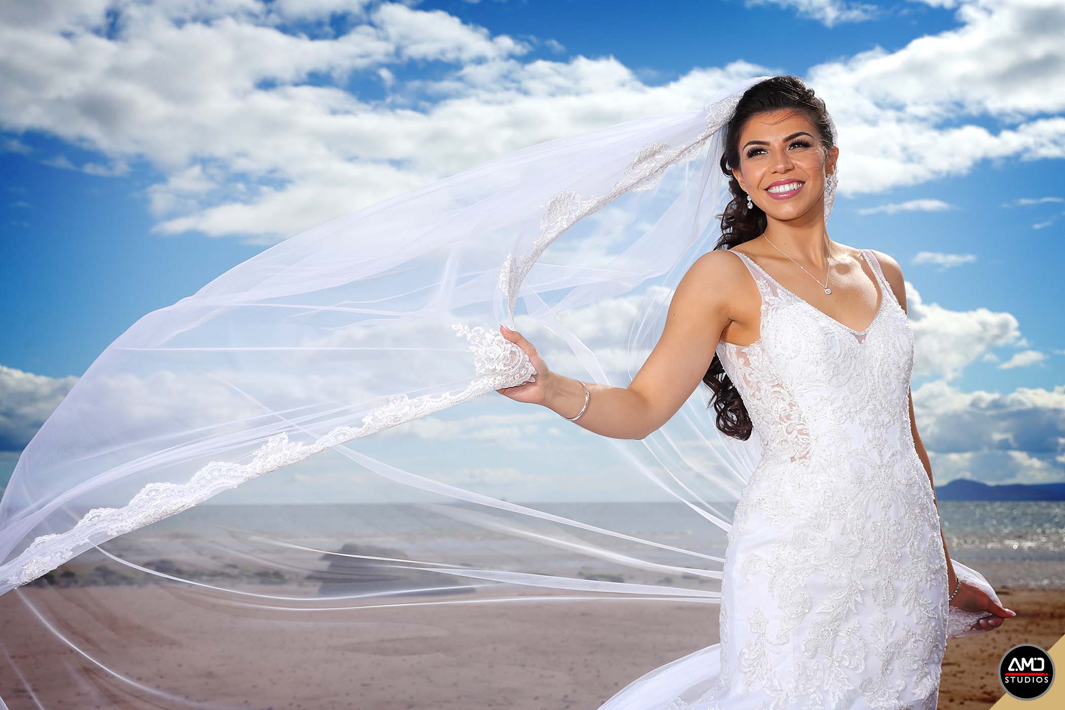 Wedding reviews by AMD Studios